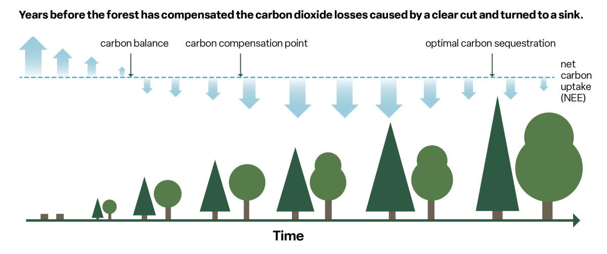 Forest Carbon Sinks Under Pressure Icos